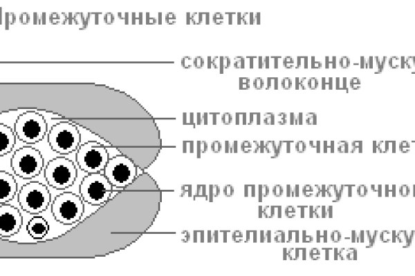 Кракен ссылка стор