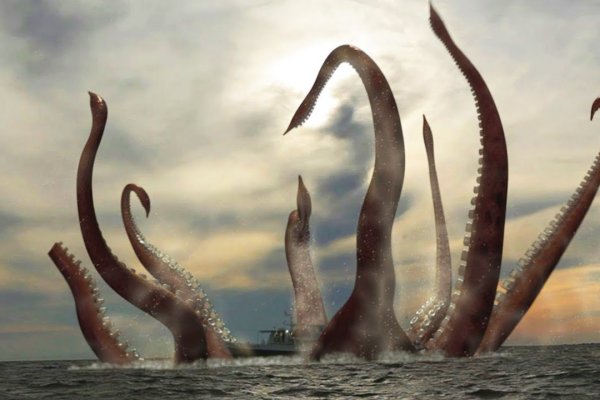 Kraken20 at