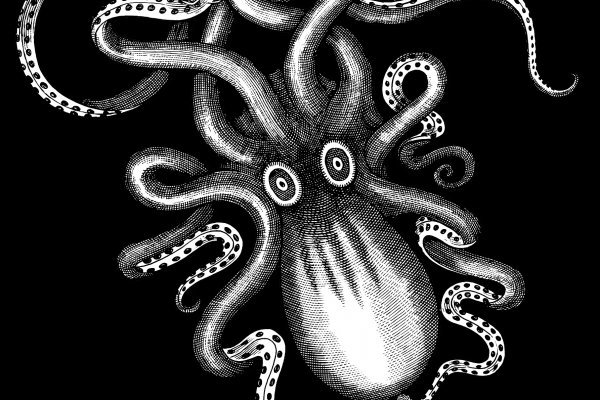 Кракен маркетплейс kraken clear com