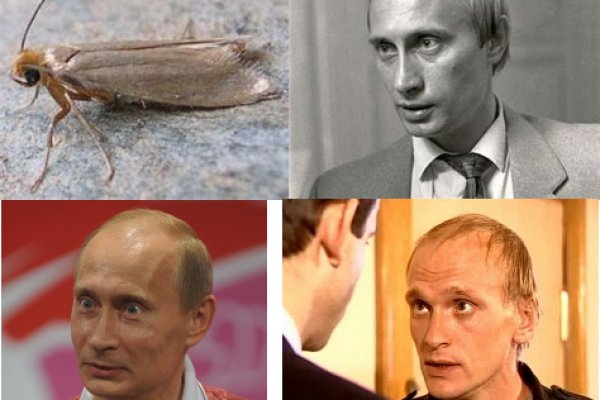Зайти на сайт кракен