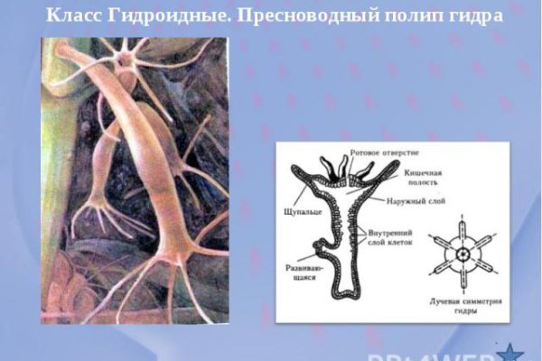 Даркнет заказ