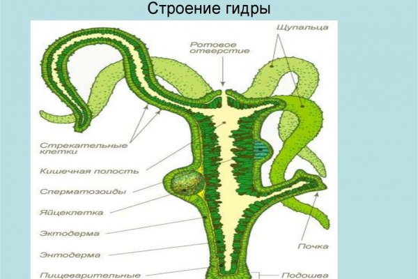 Кракен даркнет только через стор