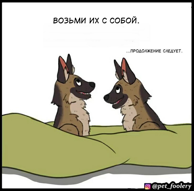 Ссылка на kraken at