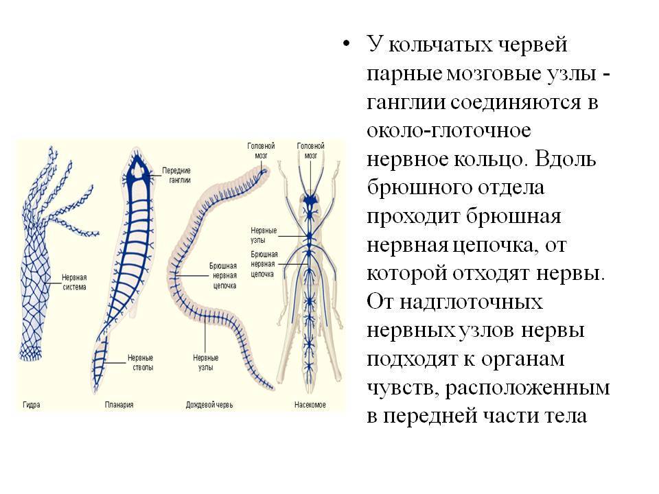 Как зайти на площадку кракен